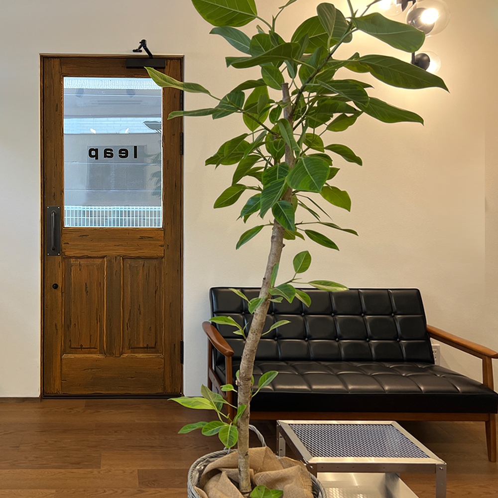 ご紹介からつながるご縁|O様邸の木製玄関ドアを見て一目惚れ 美容室leap様の重厚な木製玄関ドア