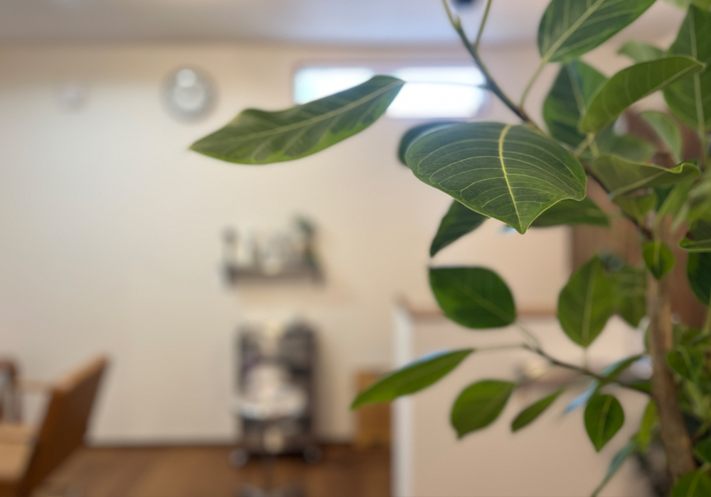 店舗改装のこだわり|「木とブルース」が香る大人の隠れ家 店舗の顔として馴染むヴィンテージ仕上げのドア