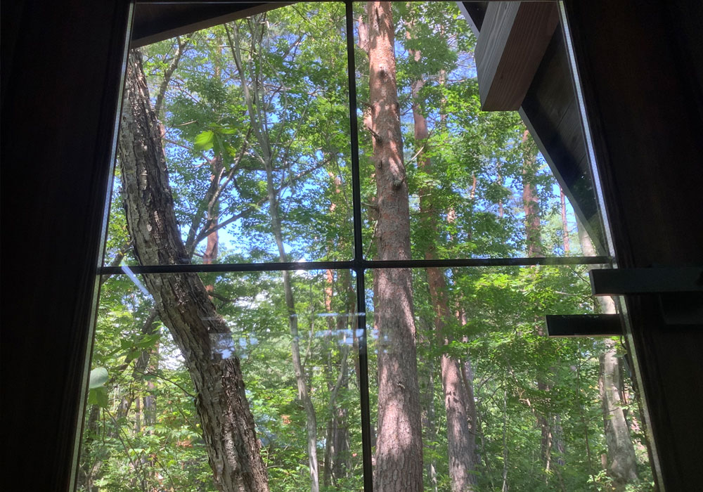 景色を美しく切り取る木製ドアの窓