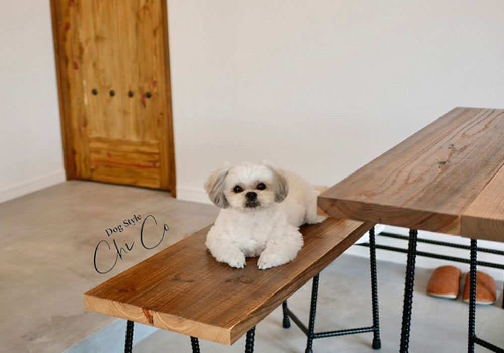 木製ドアと愛犬のくつろぐ風景