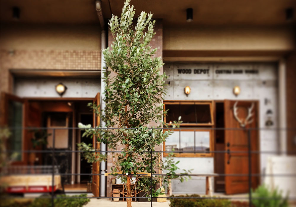 職人の「手間」が、空間の「格」に変わる：無機質なコンクリートビルに設置された重厚な木製ドア