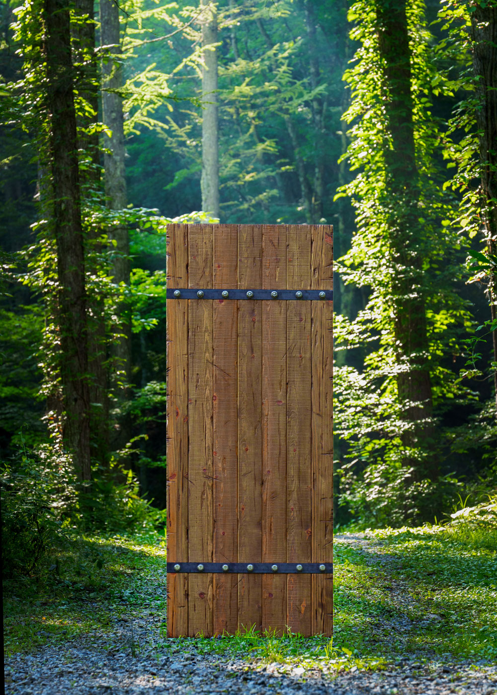 木漏れ日に照らされる木製ドア：神々しさすら漂う圧倒的な佇まい