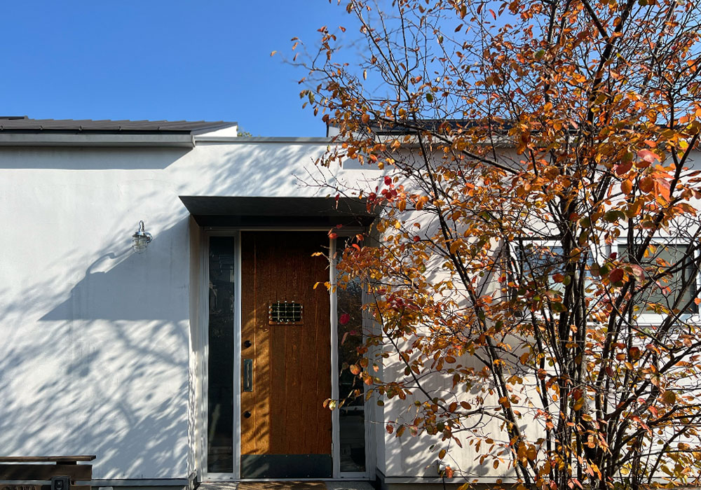 リノベーション3年目の庭と木製ドア:手間を愛する暮らし