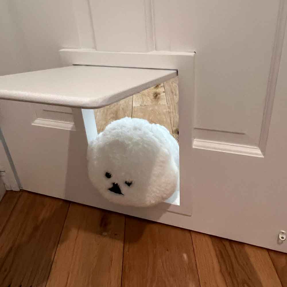 ペットドアから顔を出すワンちゃんのイメージ