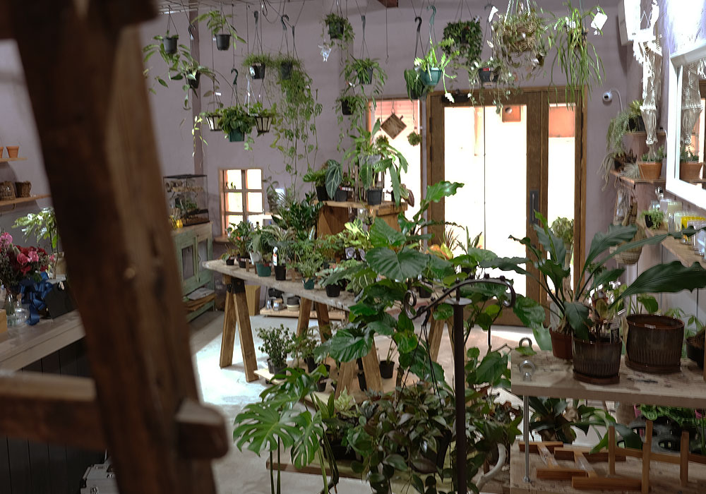 3. 緑と共鳴する極上の空間。観葉植物屋さんが選んだ「ヘビーヴィンテージ」 植物たちと調和するヘビーヴィンテージの木製玄関ドア