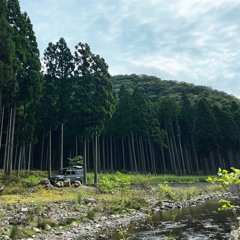 心が洗われる、森と渓流の休日