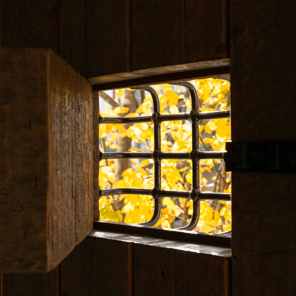 お便り『ジューンベリーと木製ドア、秋を映す玄関』