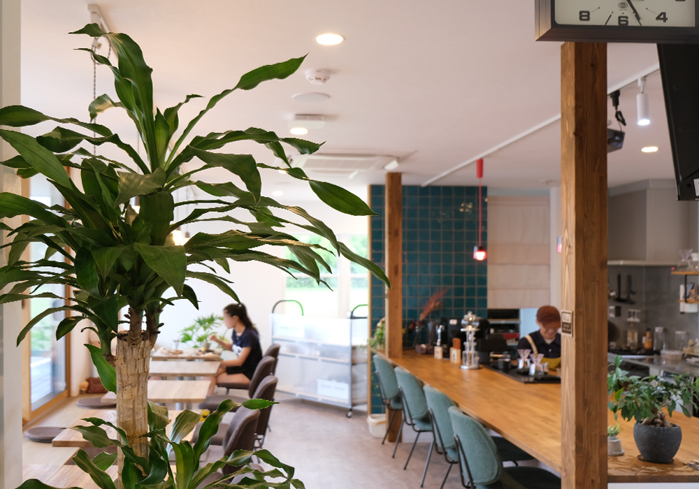 3. 木の香りと光に包まれる、癒やしの設計 木の温もりを感じるBuratto＋の店内